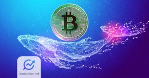 Crypto Whale