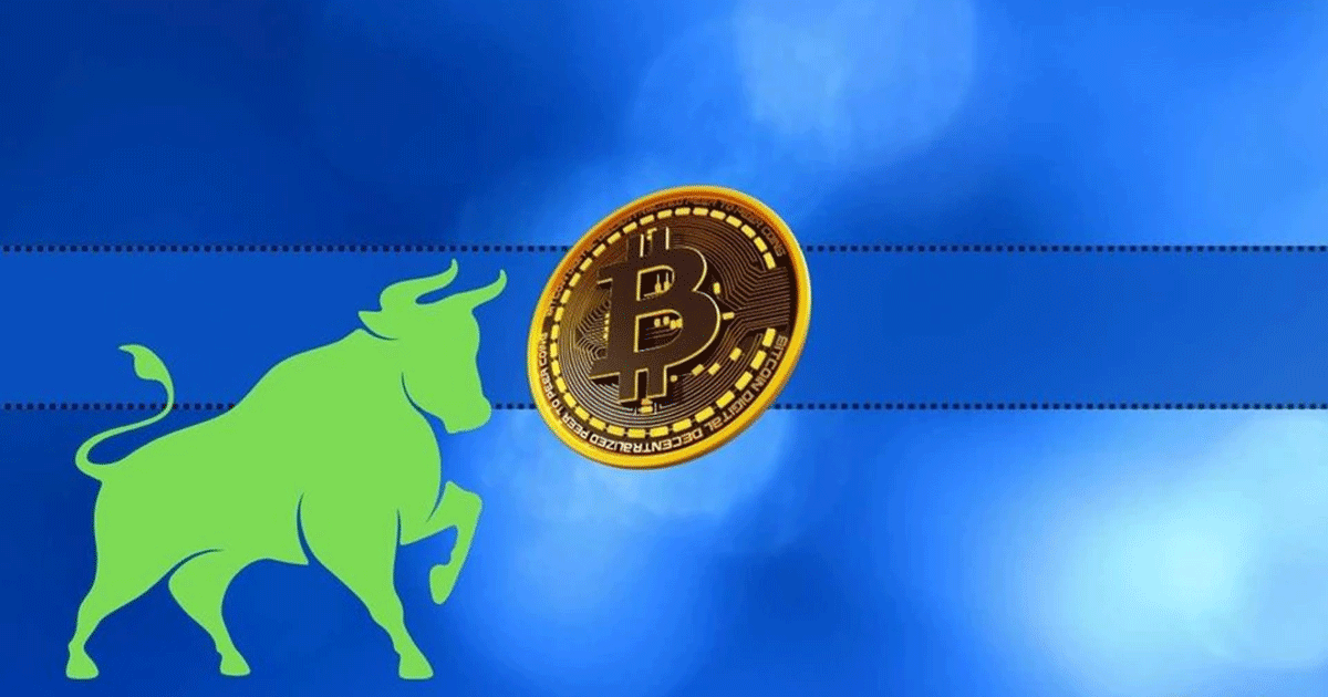 BULL