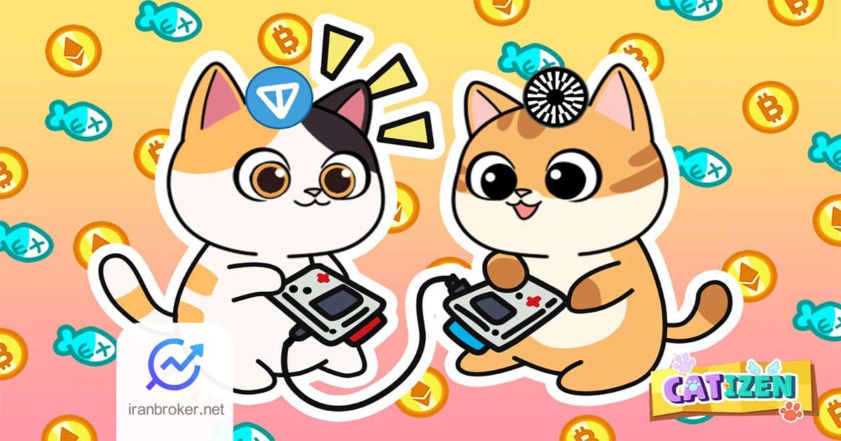 معرفی بازی کتیزن (Catizen) به همراه آموزش بازی