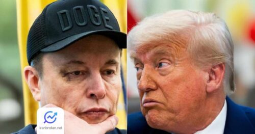 trump elon