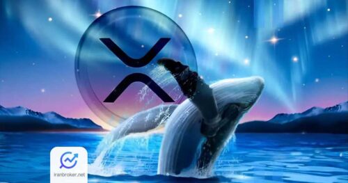 Xrp whales