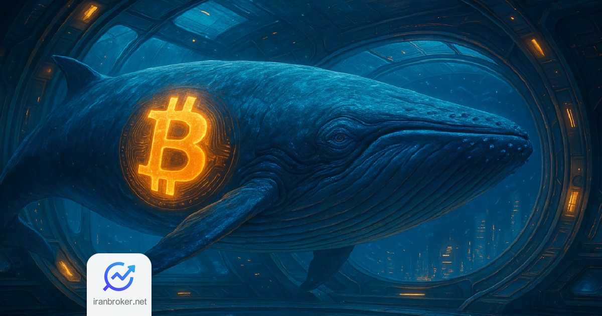 btc whales 1
